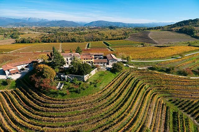 Friuli wine tour from Venice exploring Collio wine country vineyards.