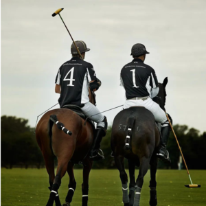 Polo Experience in Tuscany — Lesson, Match & Siena (Full Day)