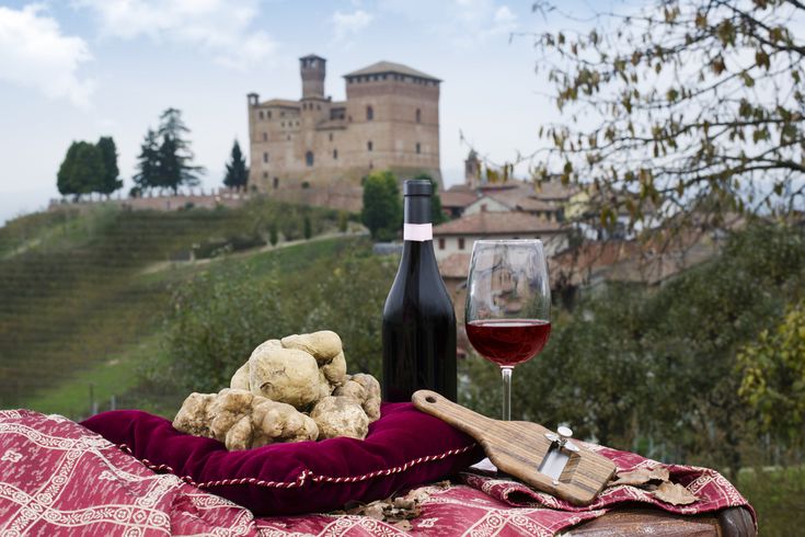 Italy truffle tour Barolo vineyard tastings in the Langhe hills