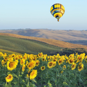 Air Ballooning — Tuscan Skies by Hot Air Balloon (Sunrise)