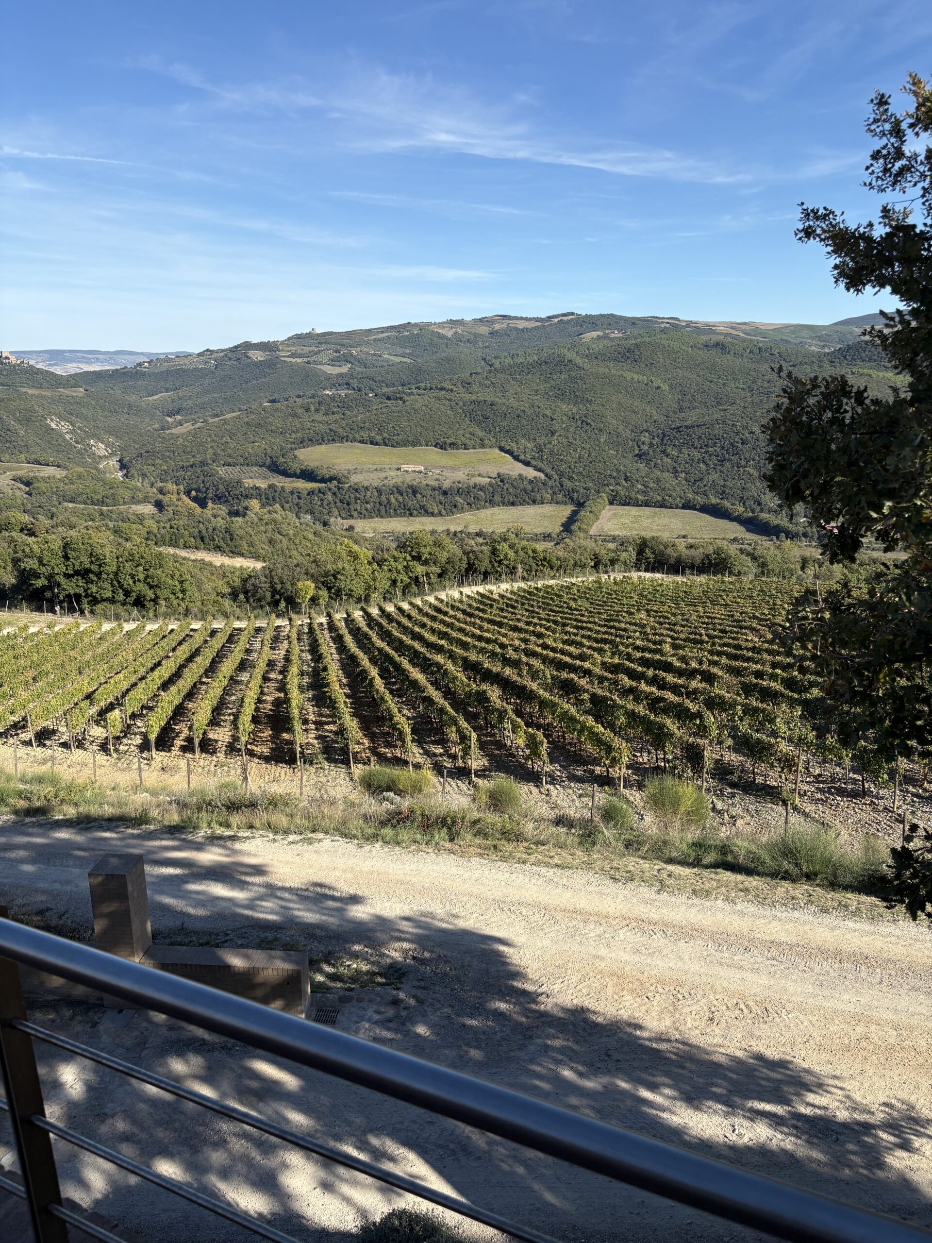 “Luxury Travel in Montepulciano overlooking Val d’Orcia vineyards”